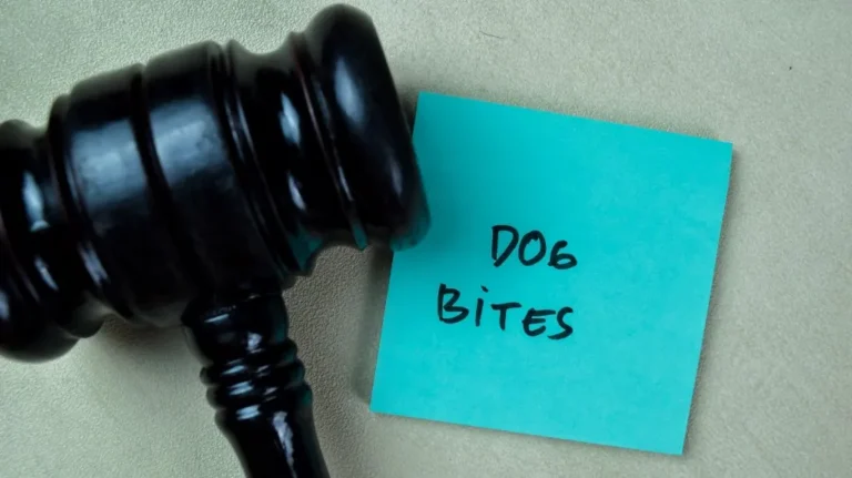 Black wooden judge's gavel next to a blue sticky note with "DOG BITES" written in black ink.
